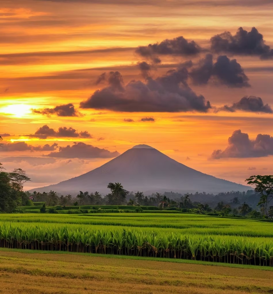 （報名期已結束） 印尼｜國家公園大象保育: 蘇門答臘熱帶雨林保育｜4月