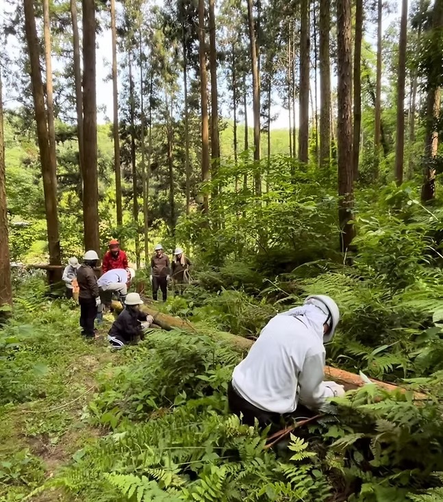 （報名期已結束）日本｜戀上春樹：里山生態保育｜3月