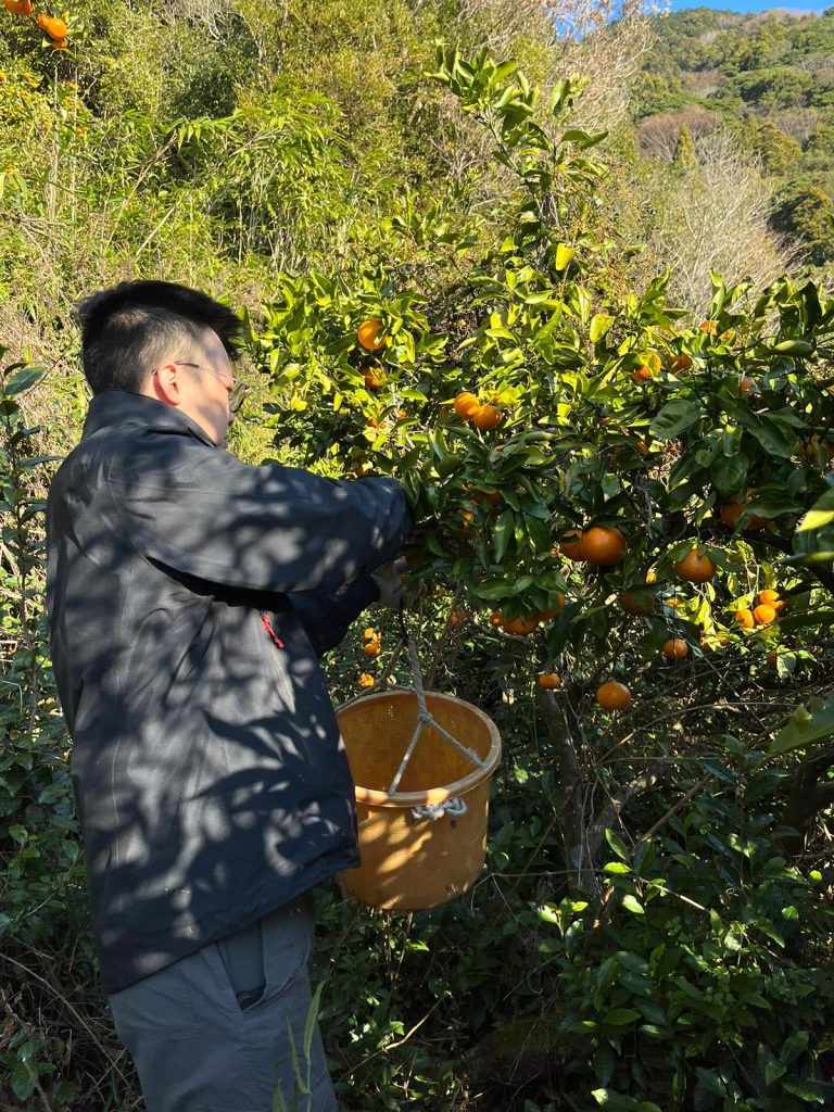 日本｜森林農藝生活祭｜長期工作營