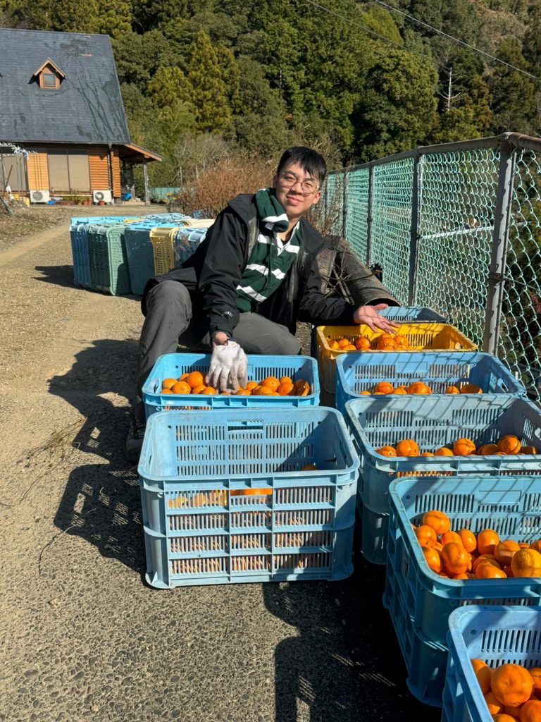 日本｜森林農藝生活祭｜長期工作營