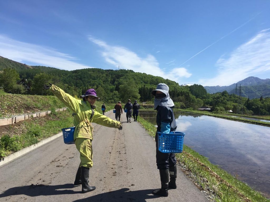 日本｜函館共融農場體驗｜長期工作營