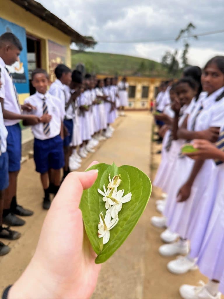 斯里蘭卡｜鋤頭妙生花｜3-5月