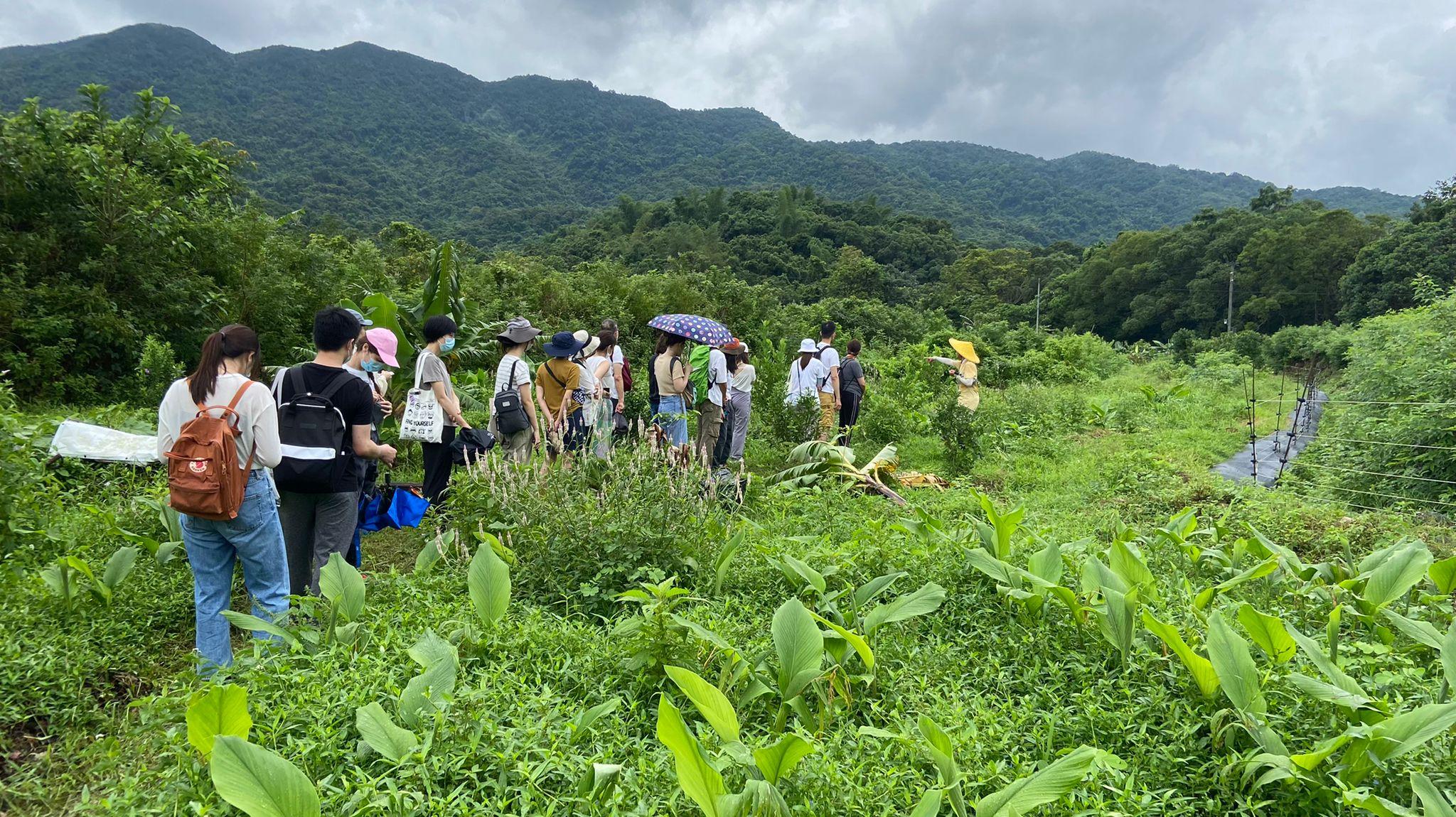 「義遊工作營全方位兌換券」開放訂購