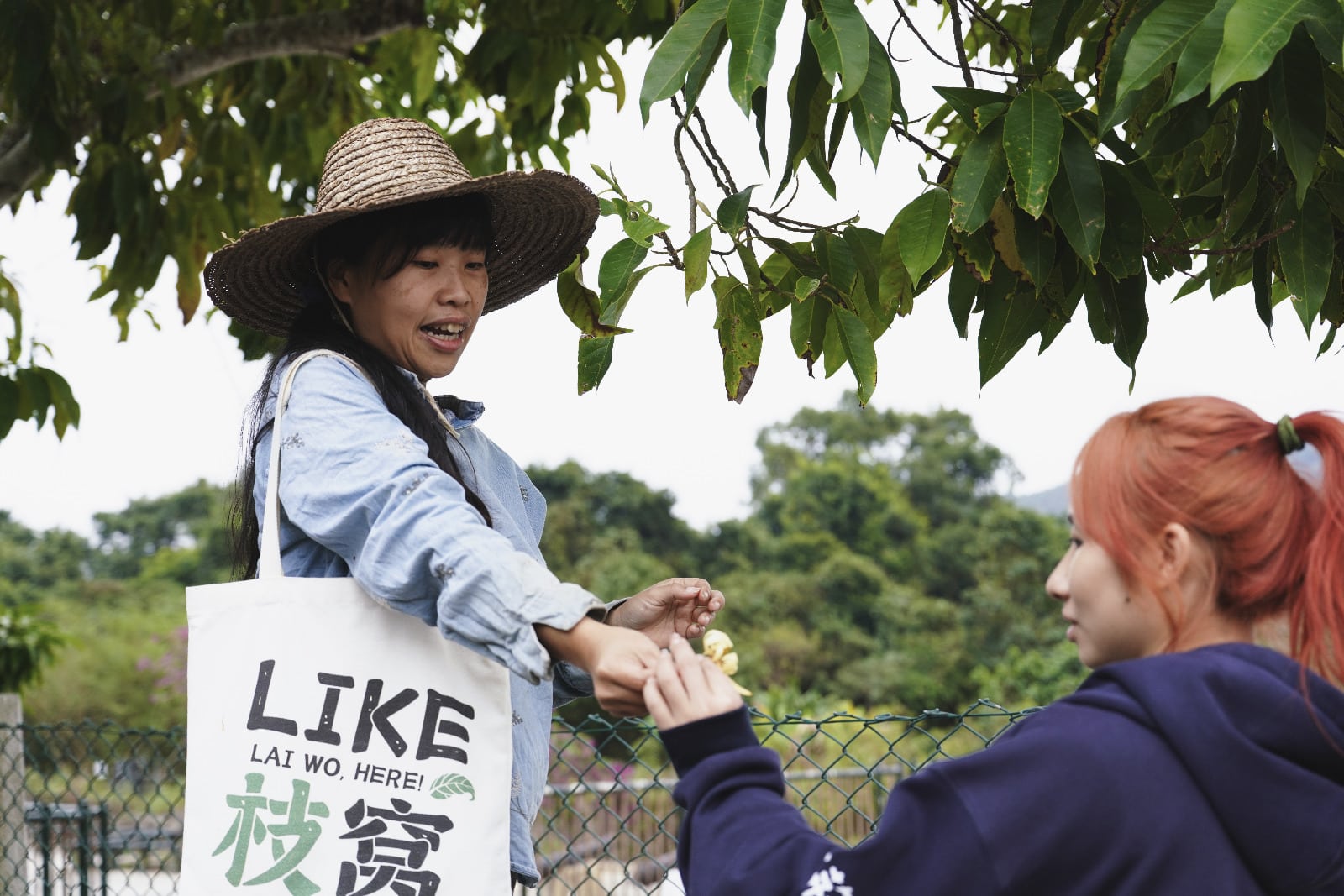 香港冬季國際工作營 2025｜走進森林村落，在鄉郊復育中看見青年成長與社區效益