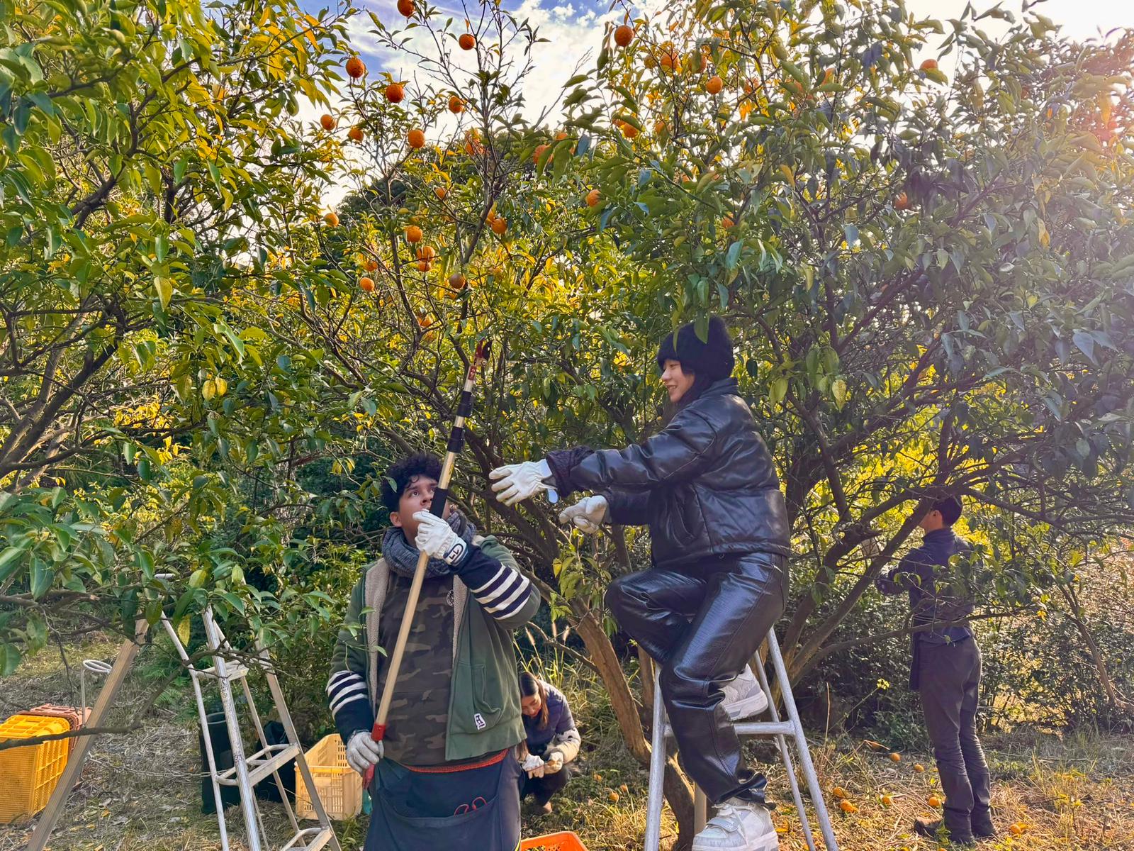 日本工作營後感|走進和風田園,在簡單日常裡學會活在當下